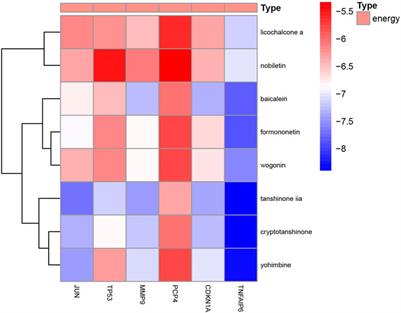 Network pharmacological analysis of active components of Xiaoliu decoction in the treatment of glioblastoma multiforme